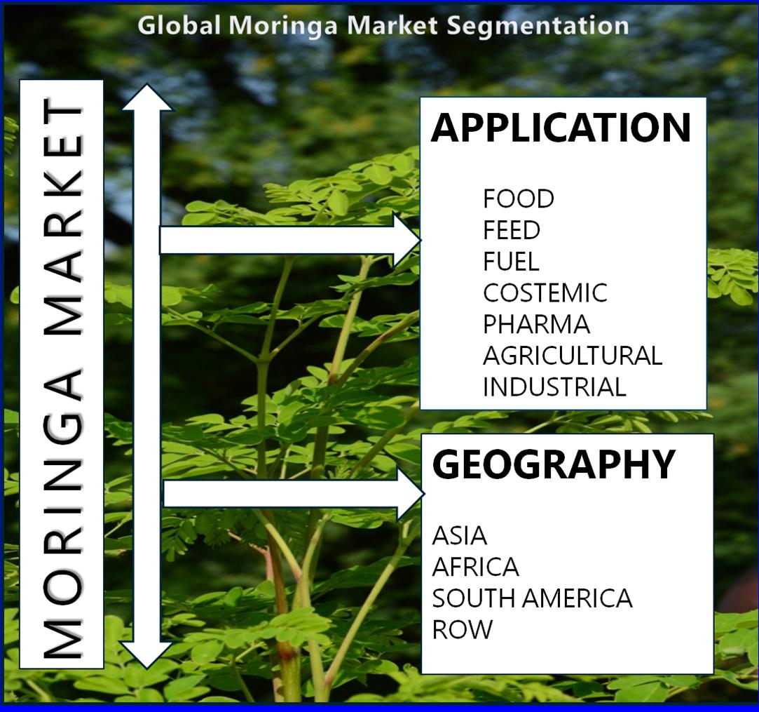 globalmoringamarket17